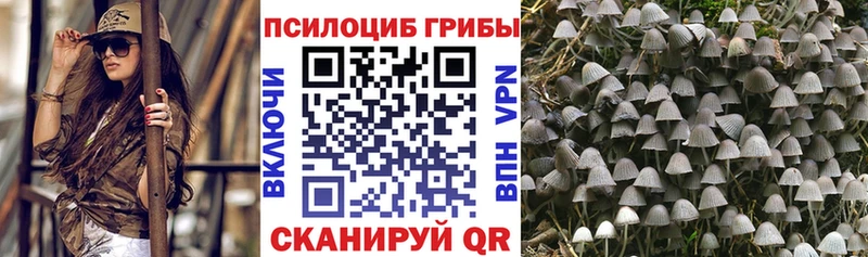 kraken онион  купить наркотики цена  Новое Девяткино  Псилоцибиновые грибы Cubensis 